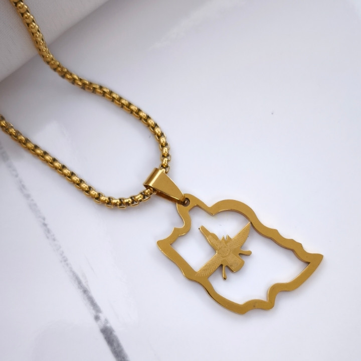 خرید گردنبند نقشه ایران و فروهر طلایی استیل رنگ ثابت شیک ارزان مناسب کادو